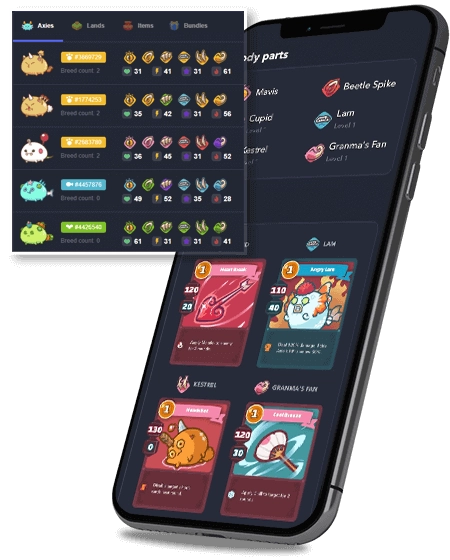 Axie Infinity clone software