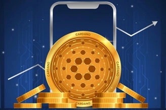 Cardona based IDO Launchpad