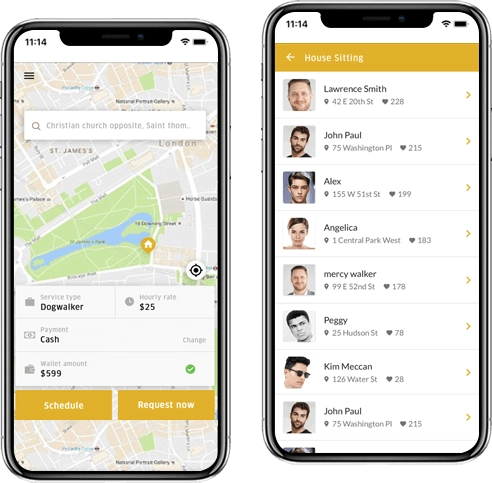 Dog walking App Development