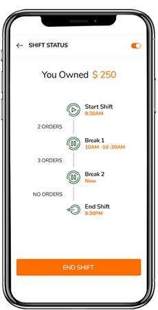 Food delivery app earning report